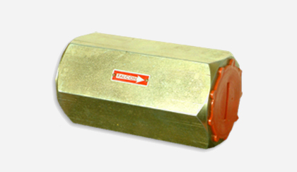 Ashish Engineering Services - Check Valve